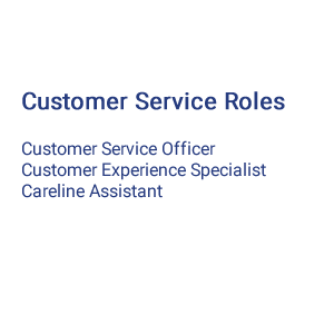 What is Customer Service Roles