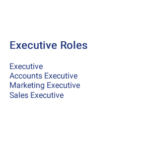 What is Executive Roles