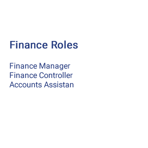 What is Finance Roles