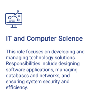 What is IT and Computer Science role