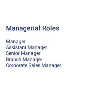 What is Managerial Roles