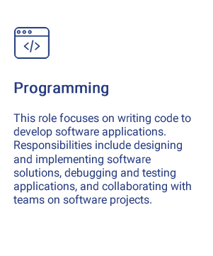 What is Programming role