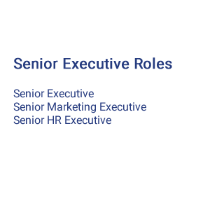 What is Senior Executive Roles